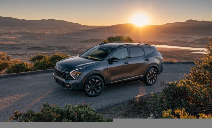 Kia sportage Kia sportage