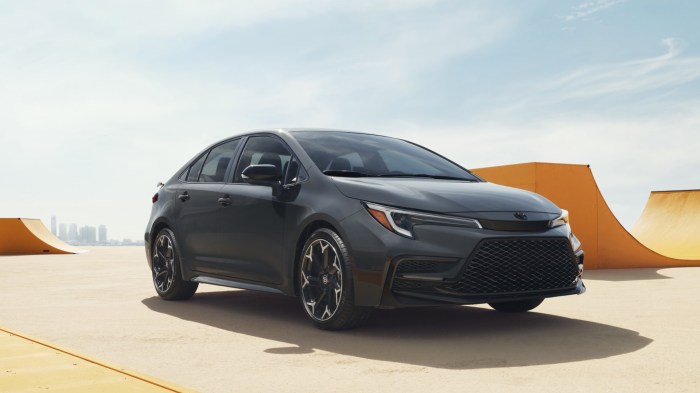 Top car 2025
